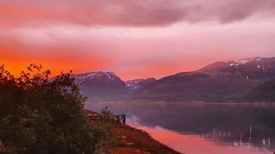 Illustrasjon for artikkel