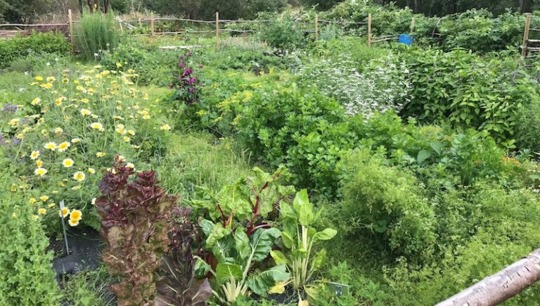 Gárdi, Senter for nordlige folk.