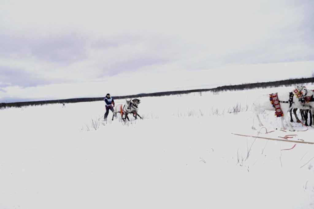 Fra reinkappkjøring