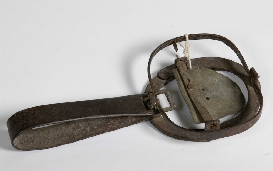 Buoiddaruovdi / røyskattsaks