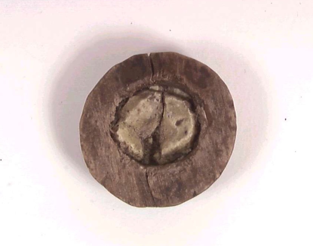 Riššagohppu/ svovelkopp med fyrtøy