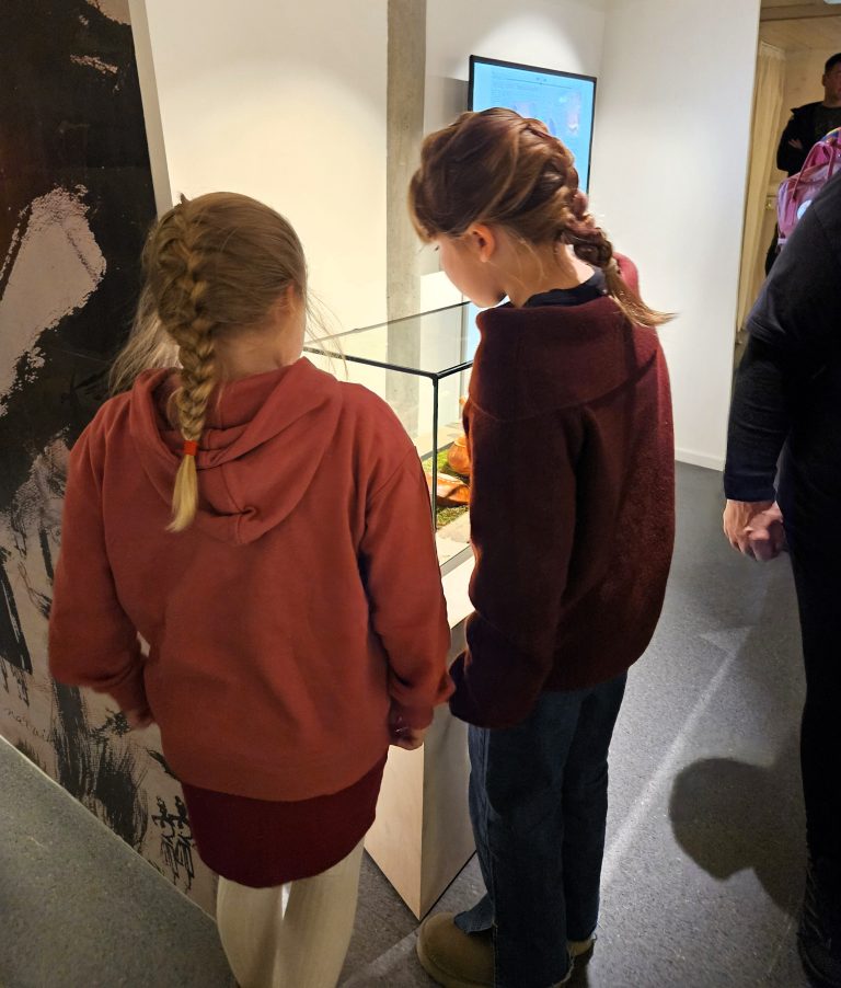 Senter for nordlige folk