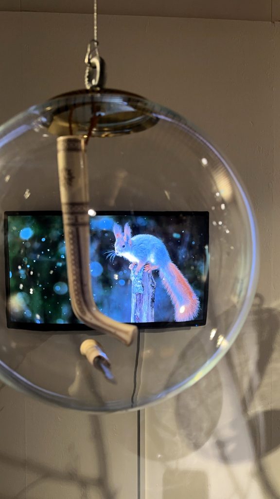 Senter for nordlige folk