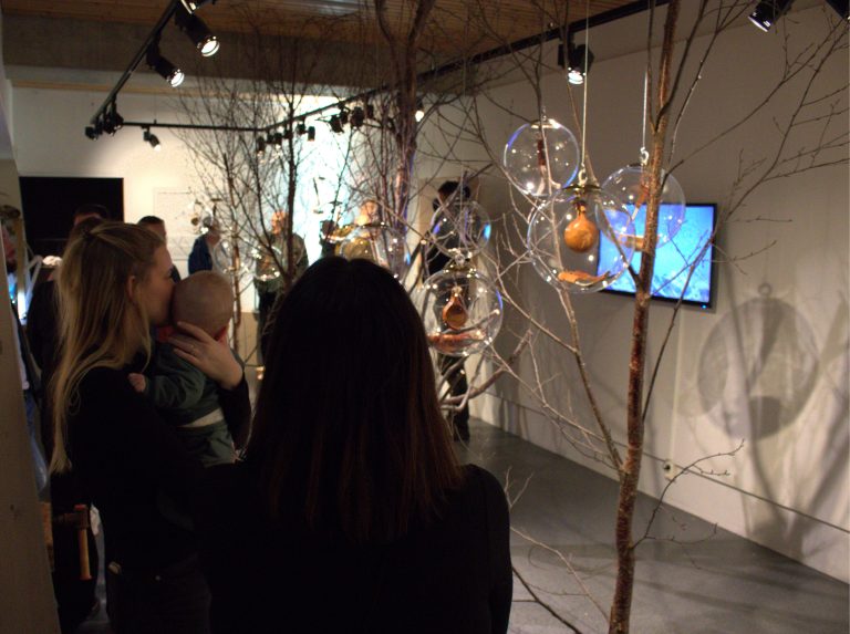 Senter for nordlige folk