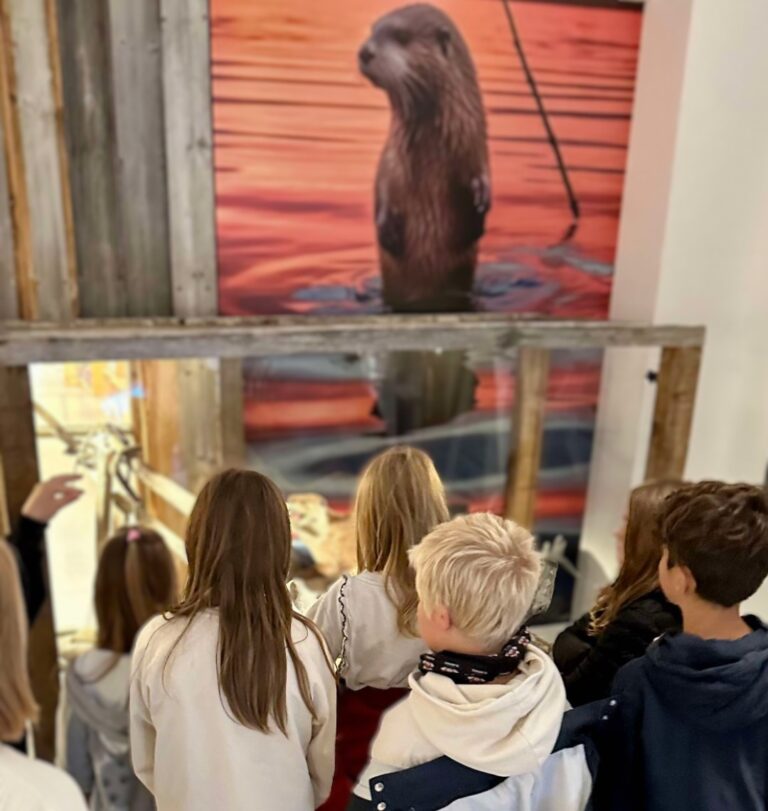 Group of kids in a gallery looking at a large wall mural of an otter standing upright in orange water.